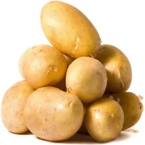 Potato